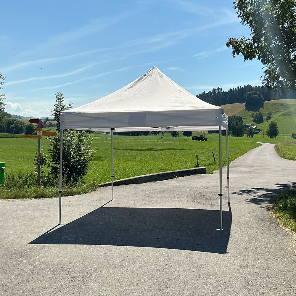 Profi Pavillon 3 x 3 m