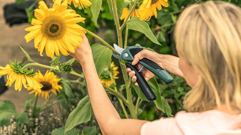 Akku-Gartenschere EasyPrune Bosch