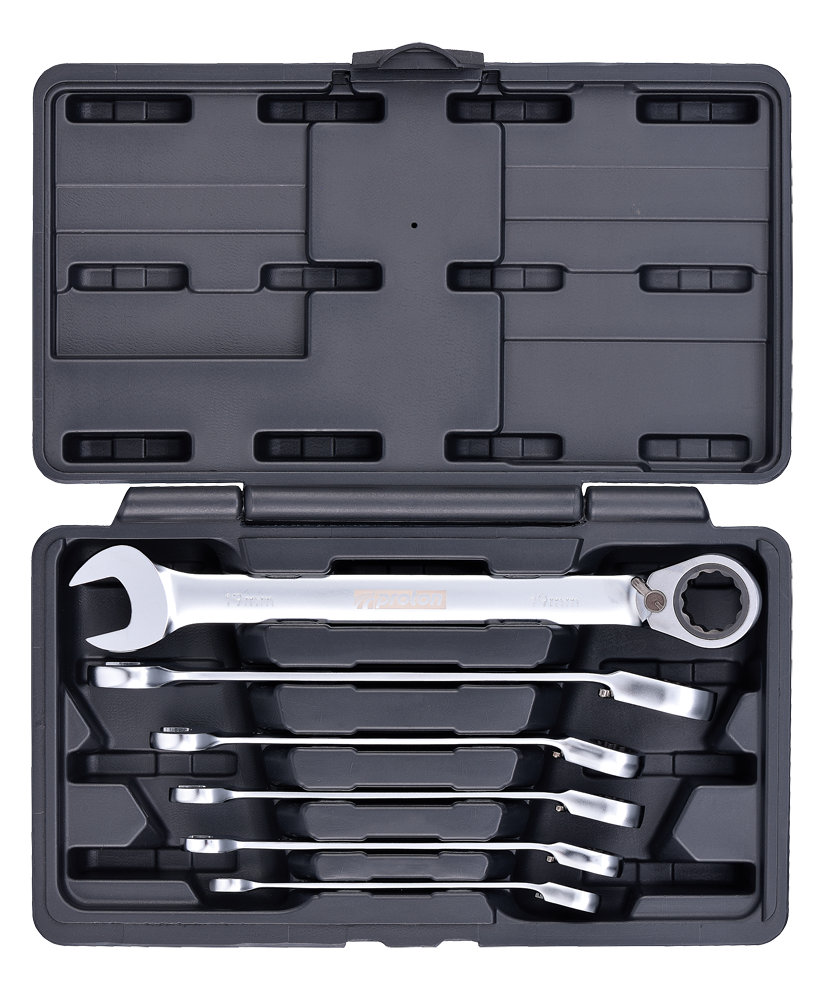 Ringgabel Ratschenschlüssel Satz Proton RS-6C 6-teilig, in Kunststoff Box